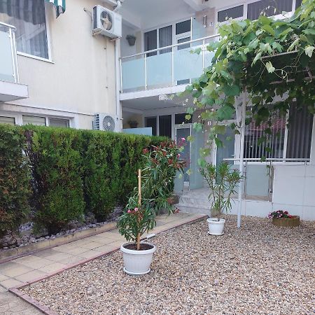 Guest House Desi - Къща За Гости Деси Baltsjik Buitenkant foto